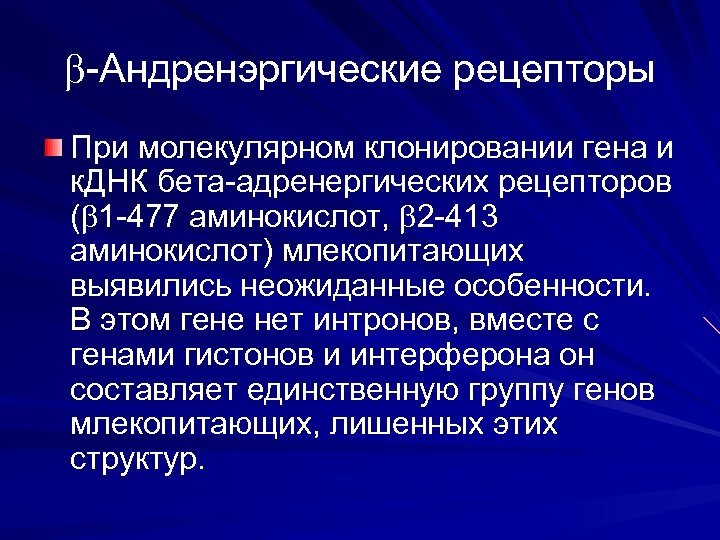  -Андренэргические рецепторы При молекулярном клонировании гена и к. ДНК бета-адренергических рецепторов ( 1