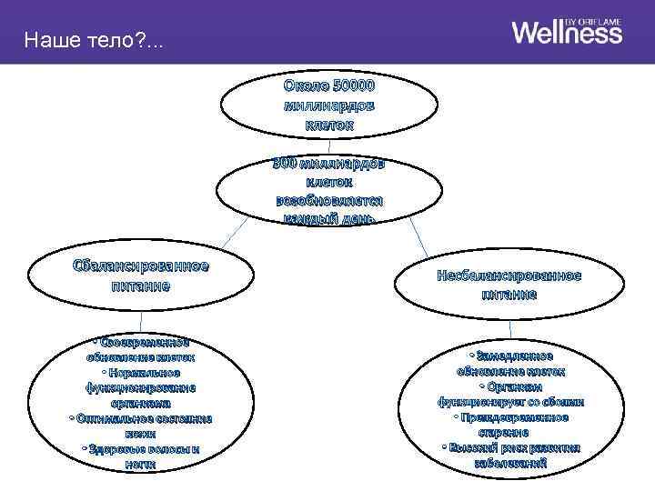 Наше тело? . . . Около 50000 миллиардов клеток 300 миллиардов клеток возобновляется каждый