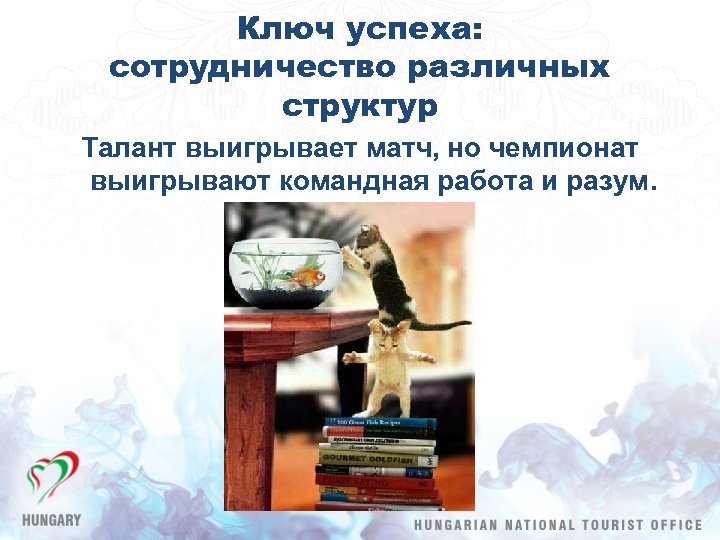 Ключ успеха: сотрудничество различных структур Талант выигрывает матч, но чемпионат выигрывают командная работа и