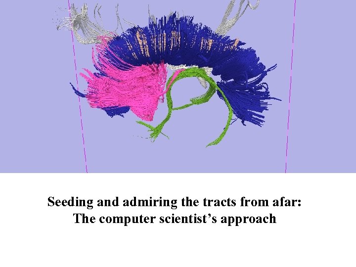 Seeding and admiring the tracts from afar: The computer scientist’s approach 