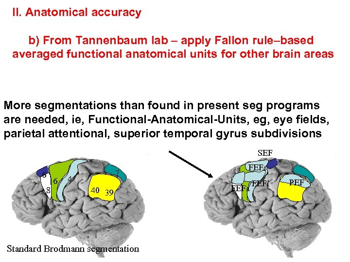 II. Anatomical accuracy b) From Tannenbaum lab – apply Fallon rule–based averaged functional anatomical