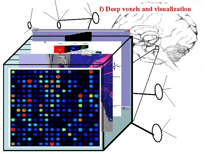 f) Deep voxels and visualization 
