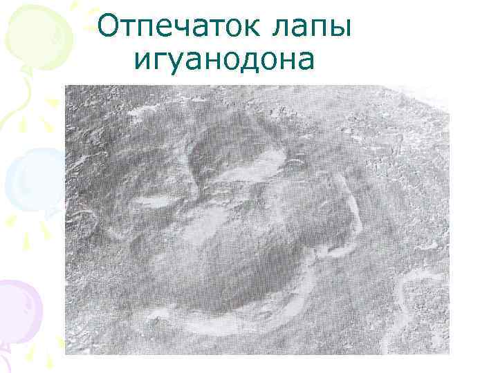 Отпечаток лапы игуанодона 