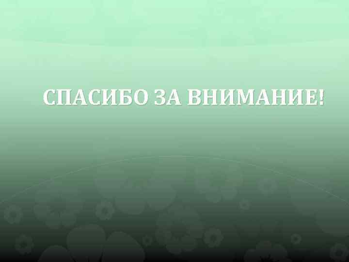 СПАСИБО ЗА ВНИМАНИЕ! 