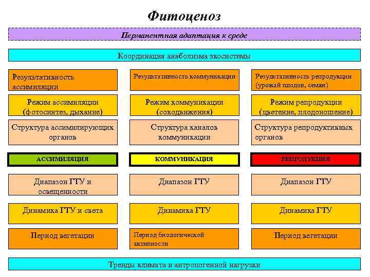 Фитоценоз Перманентная адаптация к среде Координация анаболизма экосистемы Результативность коммуникации Результативность репродукции (урожай плодов,