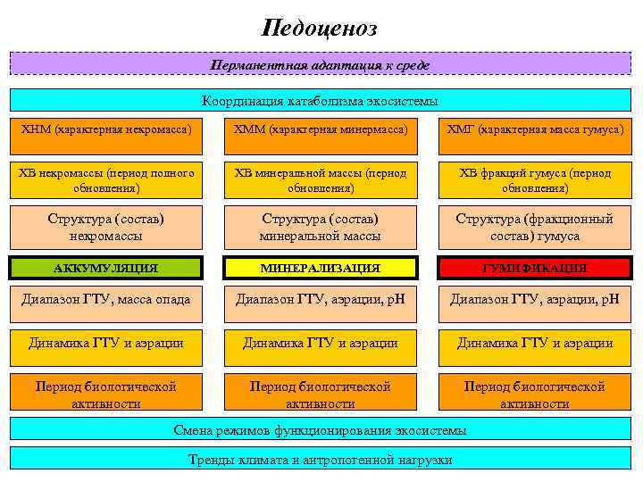 Педоценоз Перманентная адаптация к среде Координация катаболизма экосистемы ХНМ (характерная некромасса) ХММ (характерная минермасса)