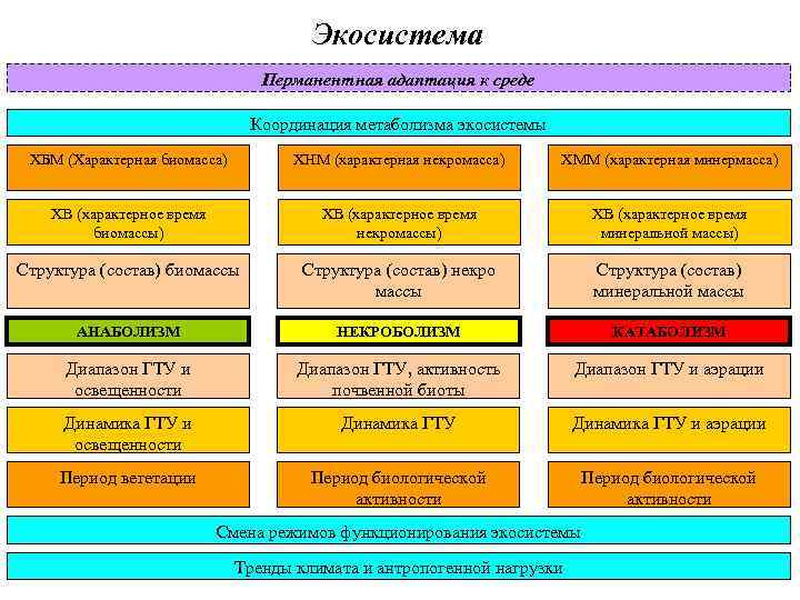 Экосистема Перманентная адаптация к среде Координация метаболизма экосистемы ХБМ (Характерная биомасса) ХНМ (характерная некромасса)