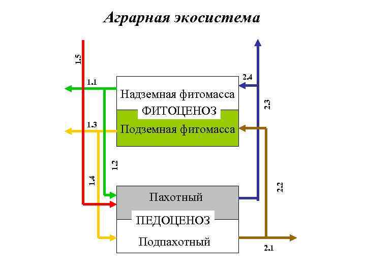 1. 5 Аграрная экосистема Надземная фитомасса ФИТОЦЕНОЗ 1. 3 2. 4 1. 1 2.