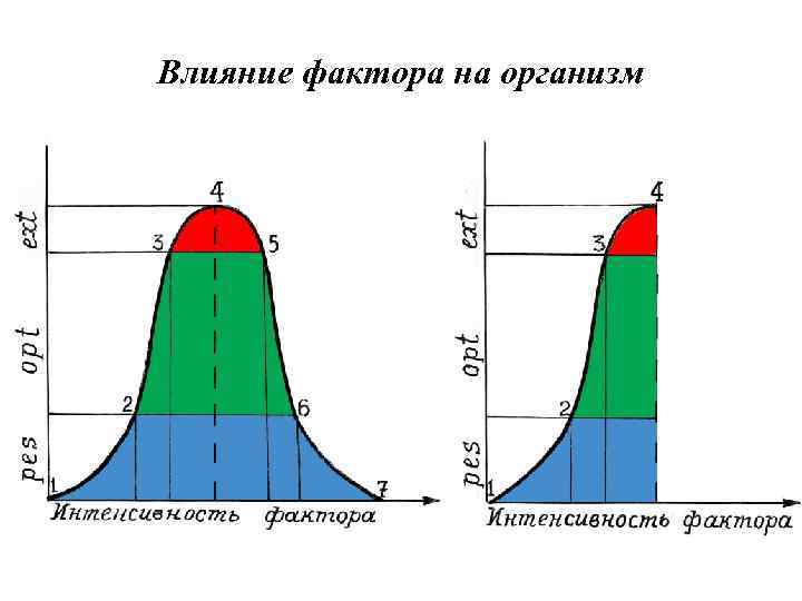 Влияние фактора на организм 