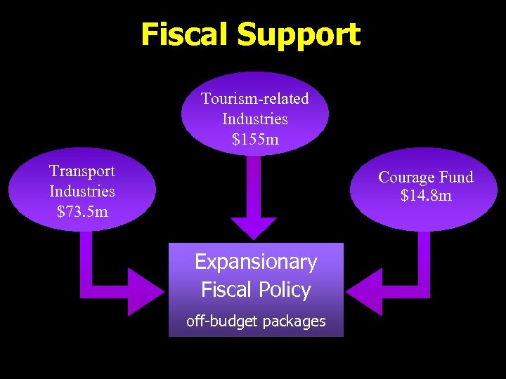 Fiscal Support Tourism-related Industries $155 m Transport Industries $73. 5 m Courage Fund $14.