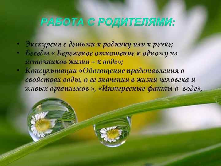  • Экскурсия с детьми к роднику или к речке; • Беседы « Береженое