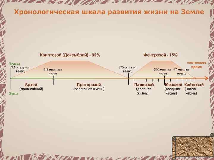 Хронология развития жизни на земле презентация