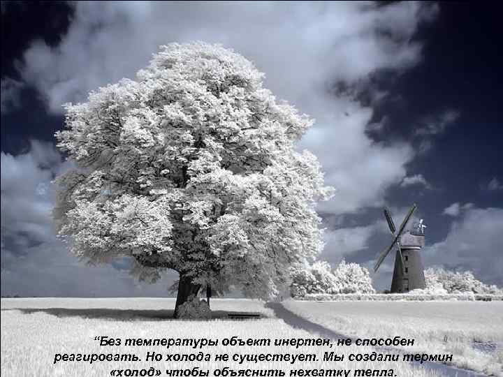 “Без температуры объект инертен, не способен реагировать. Но холода не существует. Мы создали термин