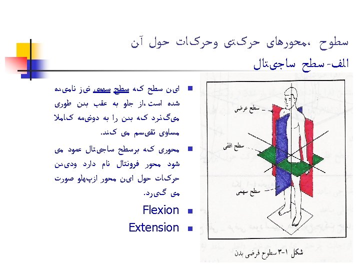  ﺳﻄﻮﺡ ،ﻣﺤﻮﺭﻫﺎی ﺣﺮکﺘی ﻭﺣﺮکﺎﺕ ﺣﻮﻝ آﻦ ﺍﻟﻒ- ﺳﻄﺢ ﺳﺎﺟیﺘﺎﻝ n n ﺍیﻦ ﺳﻄﺢ