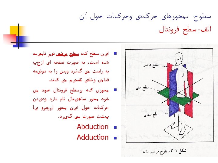  ﺳﻄﻮﺡ ،ﻣﺤﻮﺭﻫﺎی ﺣﺮکﺘی ﻭﺣﺮکﺎﺕ ﺣﻮﻝ آﻦ ﺍﻟﻒ- ﺳﻄﺢ ﻓﺮﻭﻧﺘﺎﻝ n n ﺍیﻦ ﺳﻄﺢ