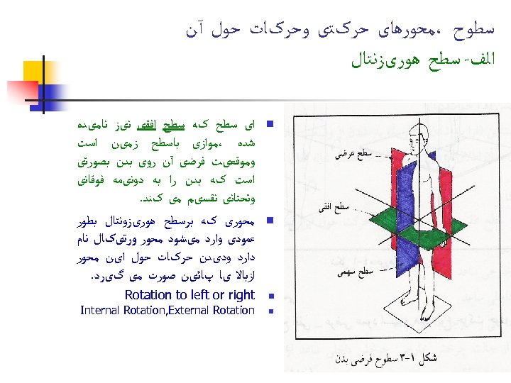  ﺳﻄﻮﺡ ،ﻣﺤﻮﺭﻫﺎی ﺣﺮکﺘی ﻭﺣﺮکﺎﺕ ﺣﻮﻝ آﻦ ﺍﻟﻒ- ﺳﻄﺢ ﻫﻮﺭیﺰﻧﺘﺎﻝ n n ﺍی ﺳﻄﺢ