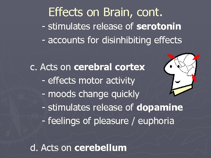 Effects on Brain, cont. - stimulates release of serotonin - accounts for disinhibiting effects