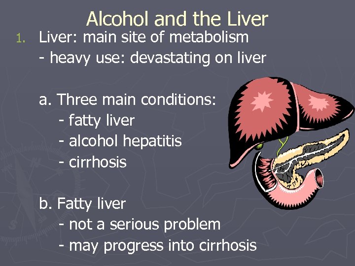 1. Alcohol and the Liver: main site of metabolism - heavy use: devastating on