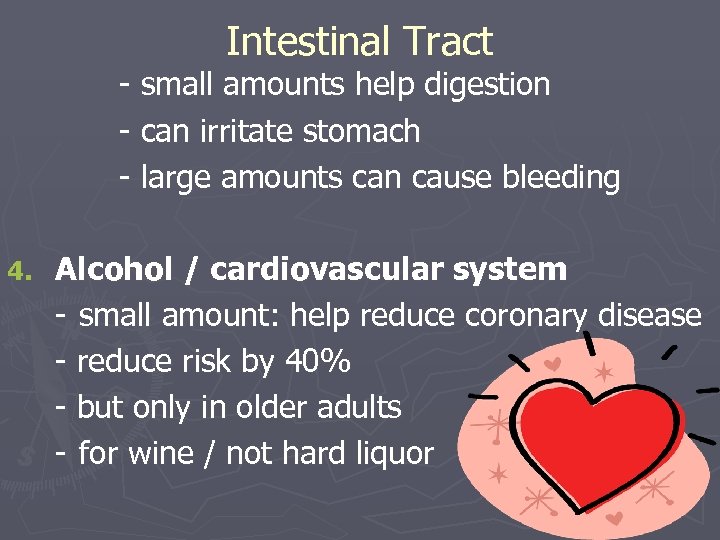 Intestinal Tract - small amounts help digestion - can irritate stomach - large amounts