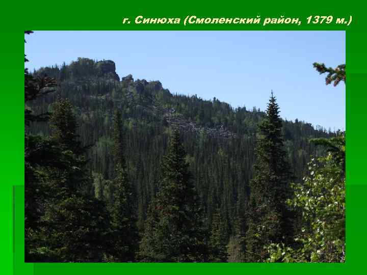 г. Синюха (Смоленский район, 1379 м. ) 