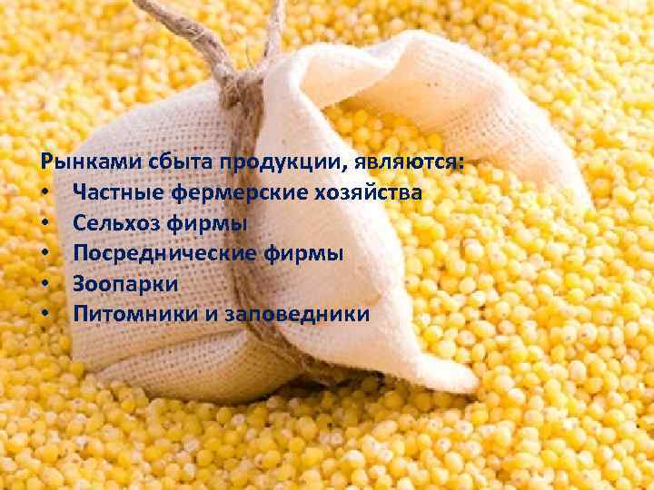 Рынками сбыта продукции, являются: • Частные фермерские хозяйства • Сельхоз фирмы • Посреднические фирмы