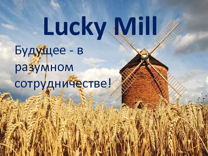 Lucky Mill Будущее - в разумном сотрудничестве! 