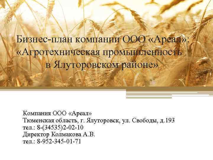 Бизнес-план компании ООО «Ареал» : «Агротехническая промышленность в Ялуторовском районе» Компания ООО «Ареал» Тюменская