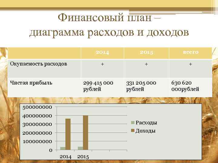 Финансовый план – диаграмма расходов и доходов 2014 Чистая прибыль всего + Окупаемость расходов