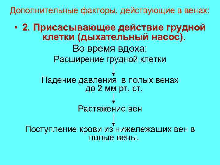 Дополнительные факторы, действующие в венах: • 2. Присасывающее действие грудной клетки (дыхательный насос). Во