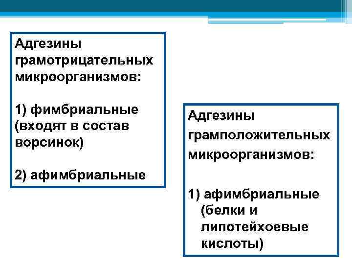 Адгезины грамотрицательных микроорганизмов: 1) фимбриальные (входят в состав ворсинок) Адгезины грамположительных микроорганизмов: 2) афимбриальные