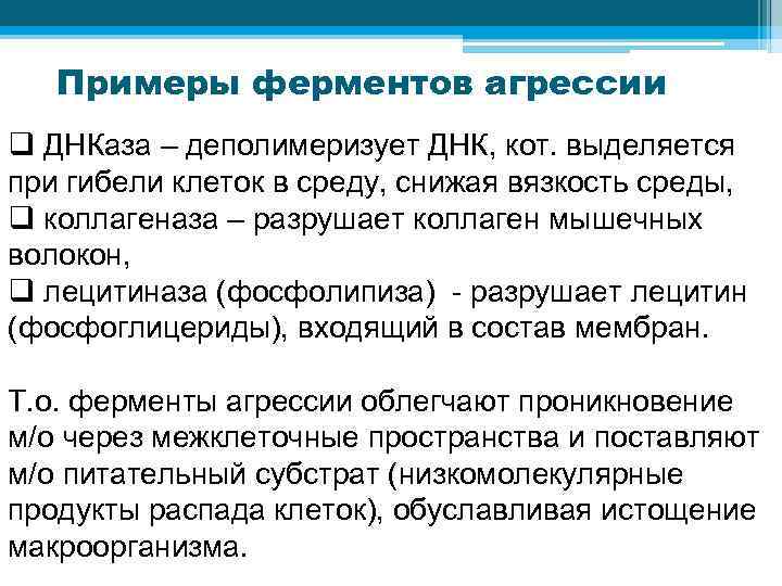 Примеры ферментов агрессии q ДНКаза – деполимеризует ДНК, кот. выделяется при гибели клеток в