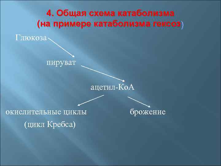4. Общая схема катаболизма (на примере катаболизма гексоз ) Глюкоза пируват ацетил-Ко. А окислительные