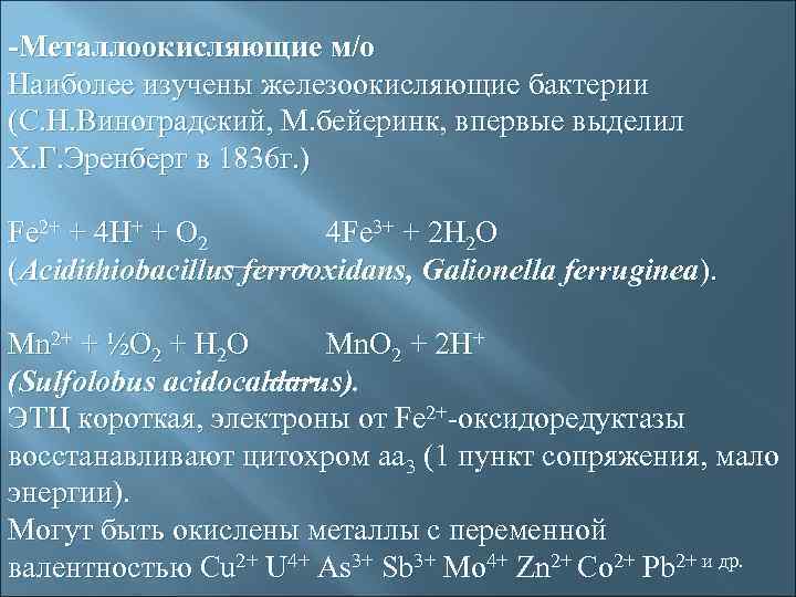 -Металлоокисляющие м/о Наиболее изучены железоокисляющие бактерии (С. Н. Виноградский, М. бейеринк, впервые выделил Х.