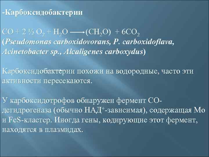 -Карбоксидобактерии CO + 2 ½ O 2 + H 2 O (CH 2 O)