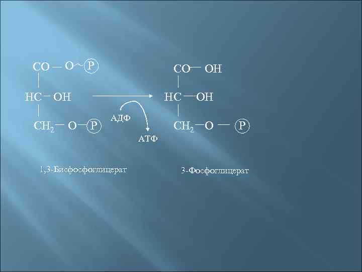 СО О Р СО НС ОН СН 2 О НС Р АДФ 1, 3