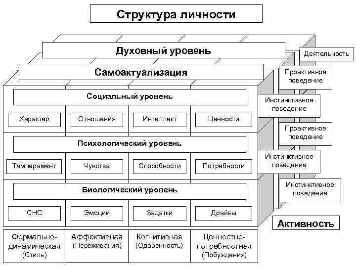 Структура личности Духовный уровень Деятельность Самоактуализация Проактивное поведение Социальный уровень Характер Отношения Интеллект Инстинктивное