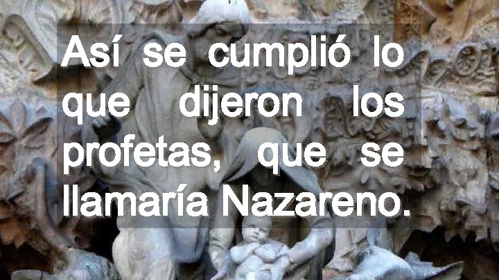 Así se cumplió lo que dijeron los profetas, que se llamaría Nazareno. 