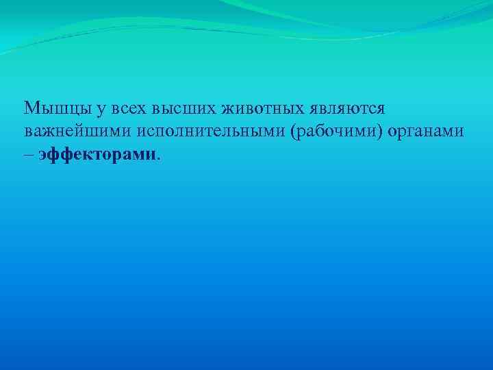 Мышцы у всех высших животных являются важнейшими исполнительными (рабочими) органами – эффекторами. 