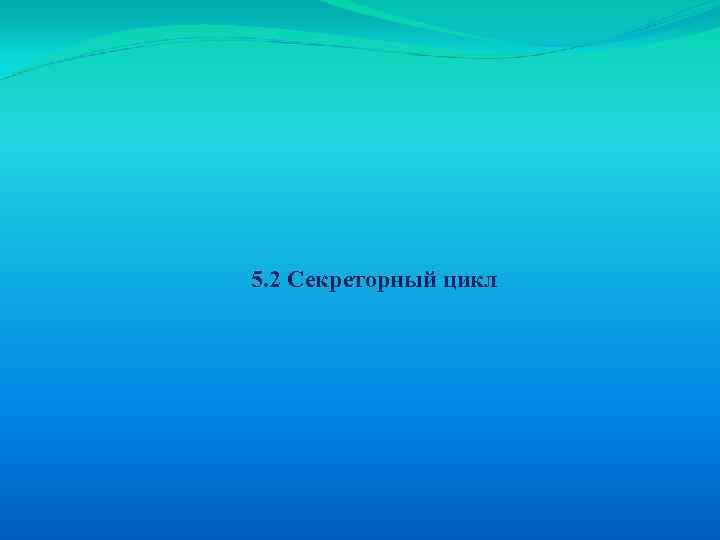 5. 2 Секреторный цикл 