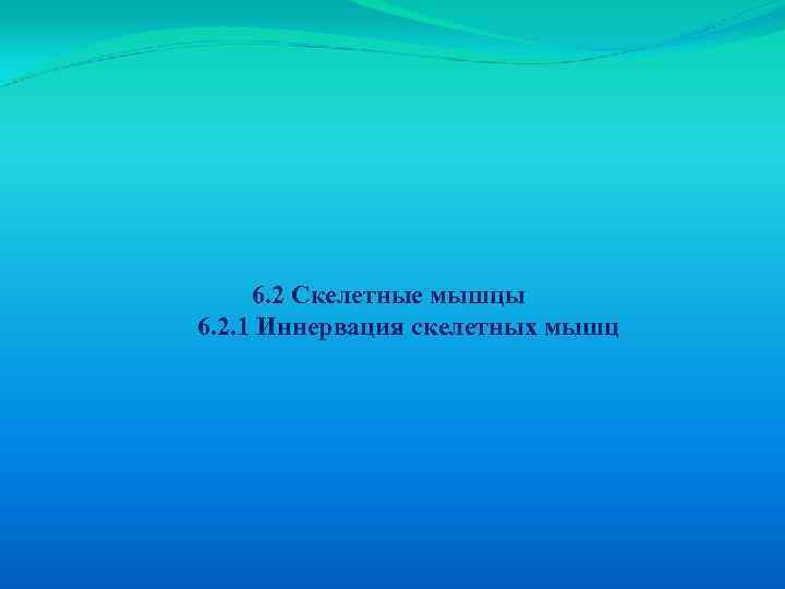 6. 2 Скелетные мышцы 6. 2. 1 Иннервация скелетных мышц 