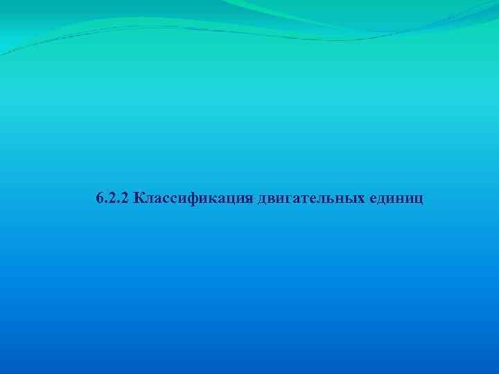 6. 2. 2 Классификация двигательных единиц 