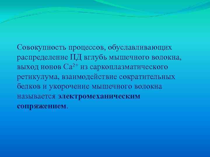Совокупность процессов, обуславливающих распределение ПД вглубь мышечного волокна, выход ионов Са 2+ из саркоплазматического