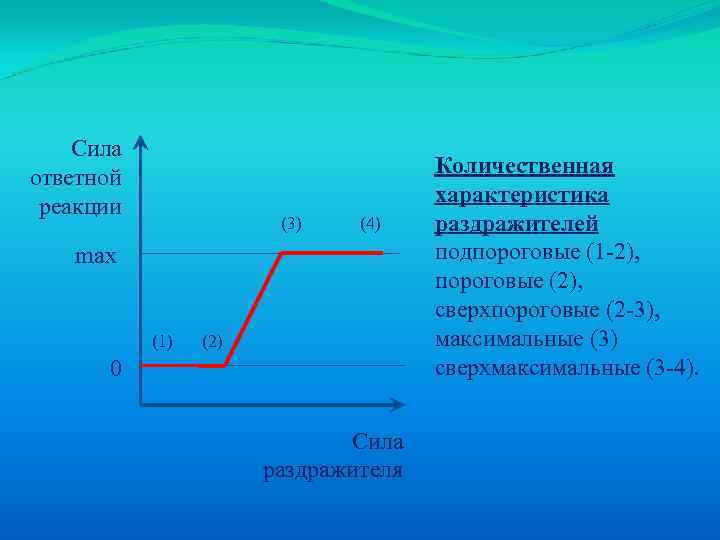 Сила ответной реакции (3) (4) max (1) (2) 0 Сила раздражителя Количественная характеристика раздражителей