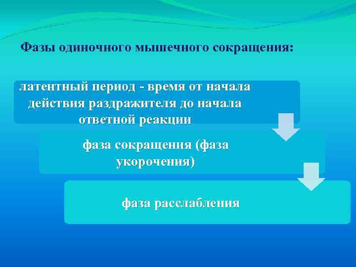 Фазы одиночного мышечного сокращения: латентный период - время от начала действия раздражителя до начала