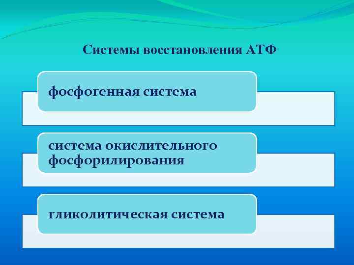 Системы восстановления АТФ фосфогенная система окислительного фосфорилирования гликолитическая система 