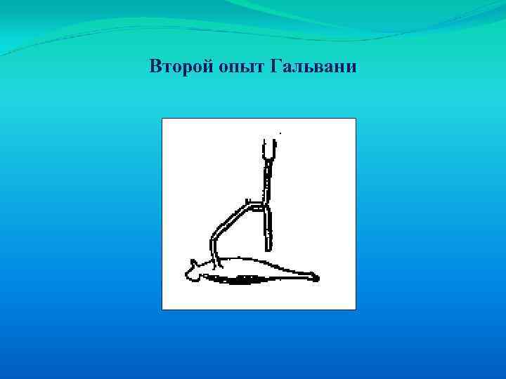 Второй опыт Гальвани 