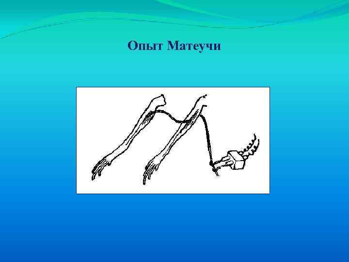 Опыт Матеучи 