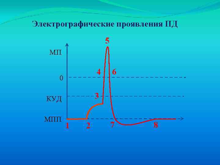 Электрографические проявления ПД 5 МП 4 0 3 КУД МПП 6 1 2 7