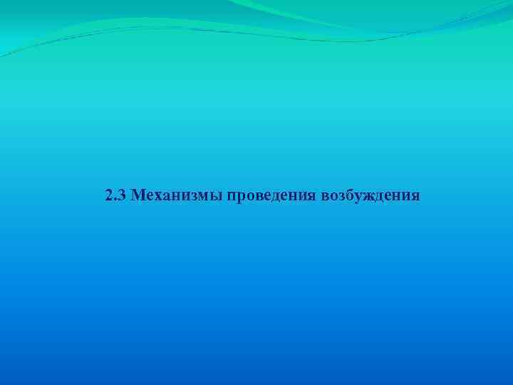 2. 3 Механизмы проведения возбуждения 