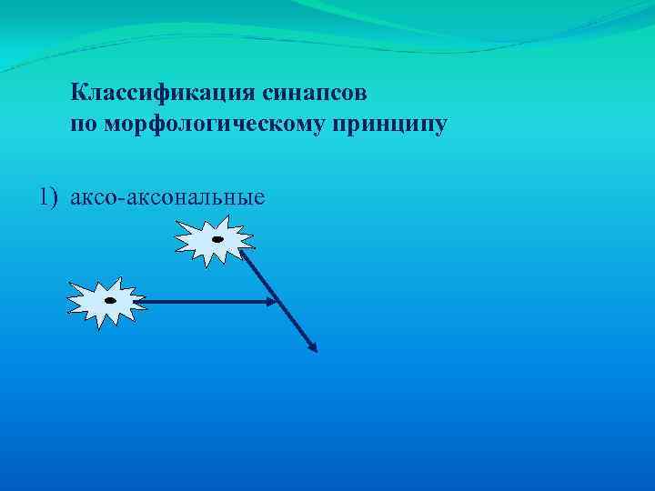 Классификация синапсов по морфологическому принципу 1) аксо-аксональные 